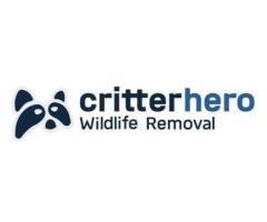 Critter Hero Wildlife Removal Niagara Falls