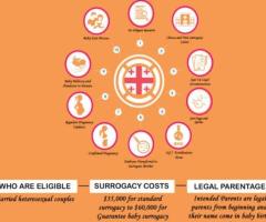Surrogacy Services in Georgia | Surrogacy Cost in Georgia
