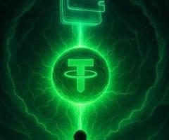 Flash USDT Software
