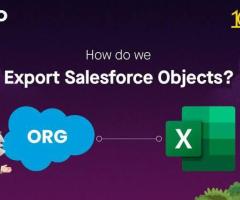 Clone Salesforce Objects- MigSO