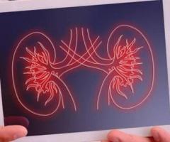 Best Nephrologist in Veer Nagar Hyderabad | Dr Vaishnavi Pochineni