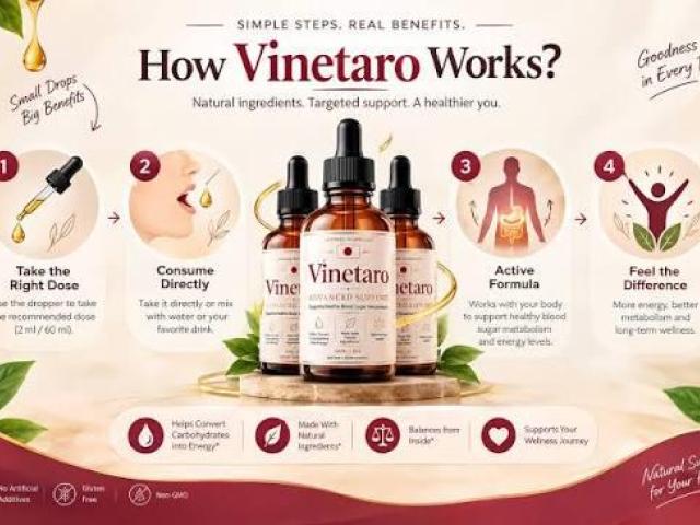 Vinetaro Advanced Support Review|How It Works and What to Know|