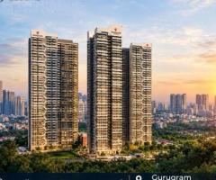 signature global daxin vistas appartments for sale