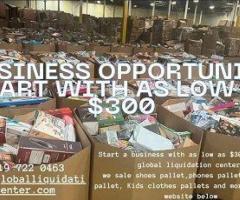 Business Opportunity with as Low as $300