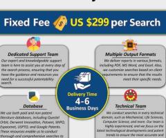 Patentability Search Services | Patent Search & Research Services | The Patent Experts
