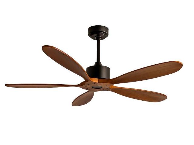 Best Quality Aesthetic Designer Fan by Wadbros