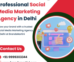 Professional Social Media Marketing Agency in Delhi