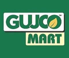 Business Opportunity with GUJCO – Partner & Grow in India!
