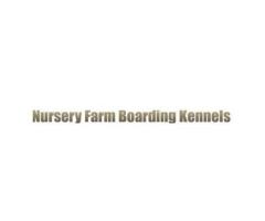 Premium Boarding Kennels in Liverpool – Safe & Caring Stay for Your Pets!