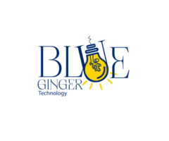 Top Web Development Agency in Dubai – Blue Ginger Technology