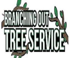 Tree Cutting & Trimming Nesconset