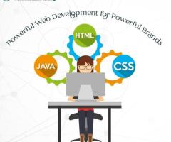 Custom Website Design and Development Services