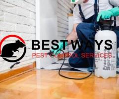 Pest Control In Hartbeespoort - JT Solution