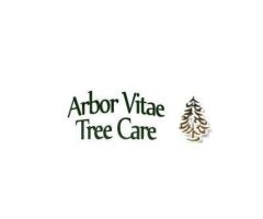 Expert Tree Surgeon in Bournemouth – Professional & Affordable