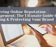 Online Reputation Management (ORM) solutions