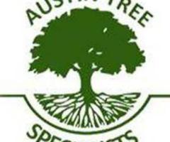 Austin Tree Specialists