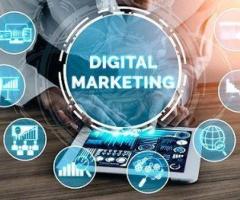 ???? Grow Your Business with Expert Digital Marketing Services in Delhi ????