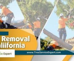 Trusted Tree Removal Services in California by Tree Service Expert for Safe and Efficient Results