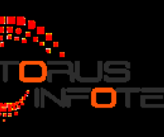 Best Website Designing Company in Delhi : Torus Infotech