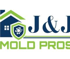 J & J Mold Pros