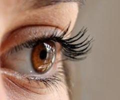 Herbal Ayurvedic Eye Care for Glaucoma – Safe & Effective