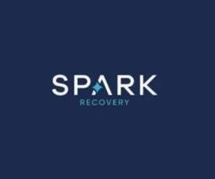 Spark Recovery