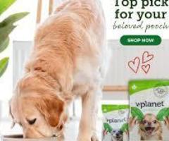 Fresh Dog Food Dubai