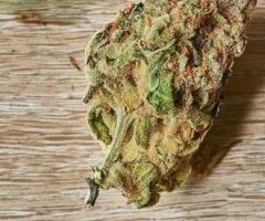 AK-47 Hybrid