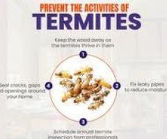 Best Ant Pest Control Services in Kurnool