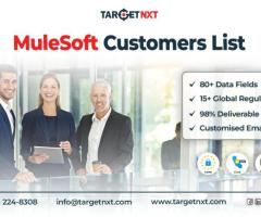 Procure TargetNXT's MuleSoft Customers List to Build Profitable Business Connections